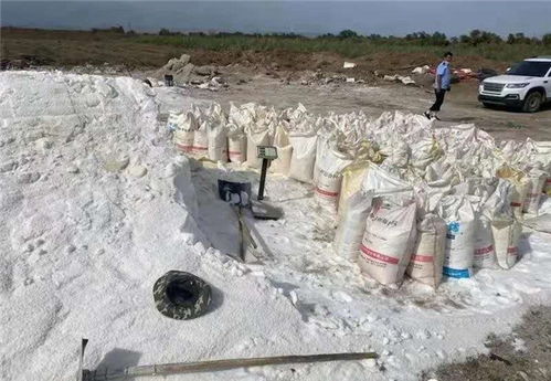 假鹽泛濫，五百余噸地下鹽場被摧毀