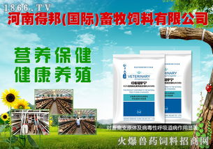 八重豪禮，巔峰鉅獻 河南得邦國際與火爆網攜手，共譜畜牧飼料行業新篇章