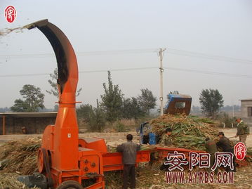 搶抓農時促轉化，市畜牧局多措并舉推廣秸稈青貯飼料助力畜牧漁業降本增效